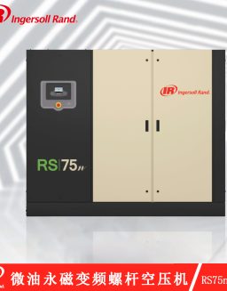 Ingersoll Rand RS75n